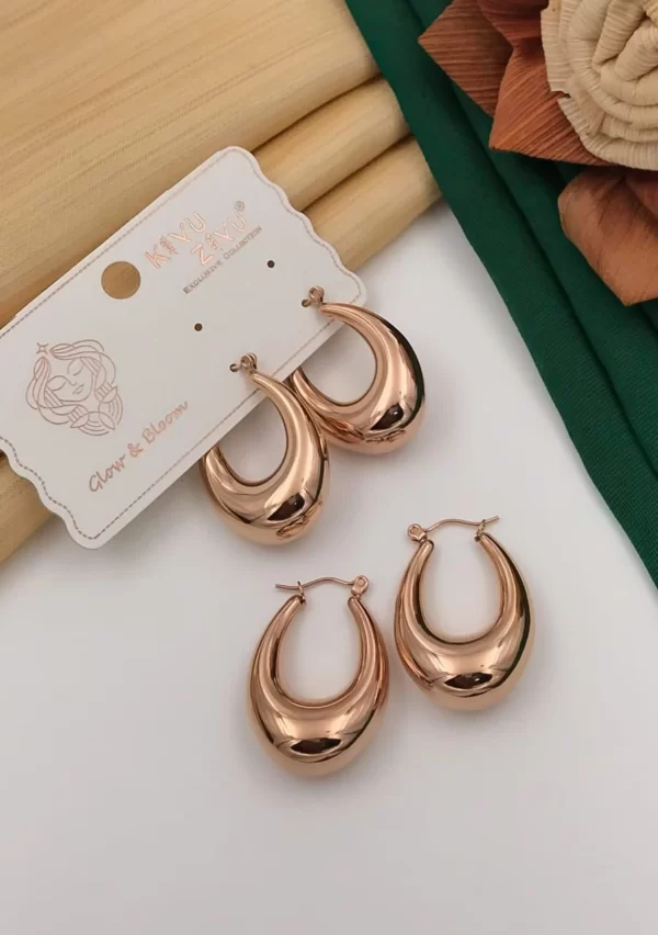 VTE1030 Darling Dangles Anti Tarnish Hoop Earrings