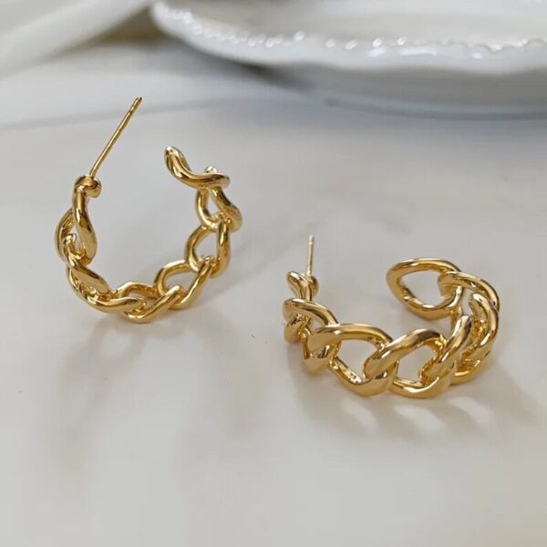 VWE1041-p1 Modern Twist Hoop Earrings