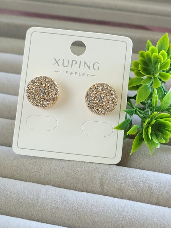 Simply Stunning XP Earrings