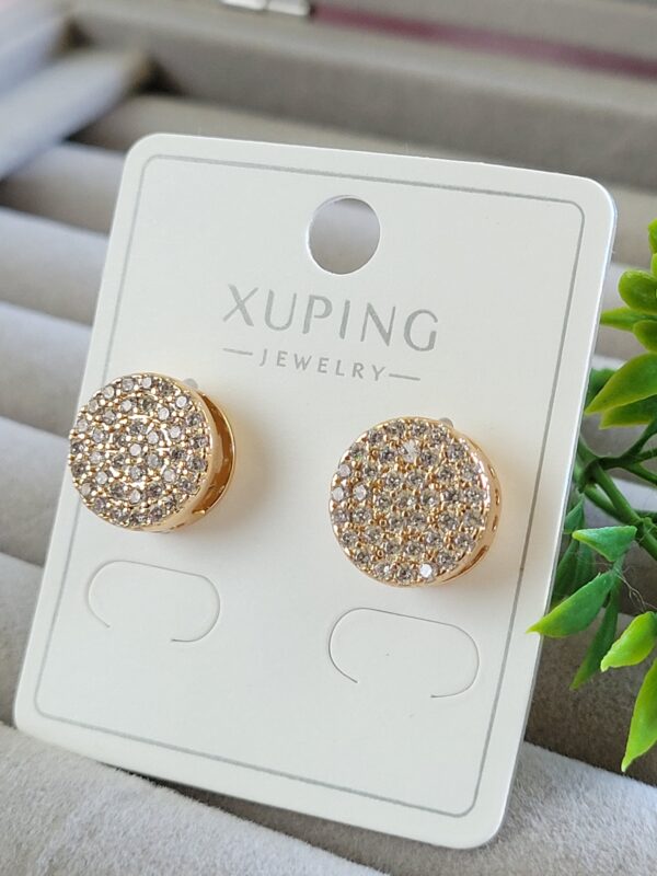 Simply Stunning XP Earrings