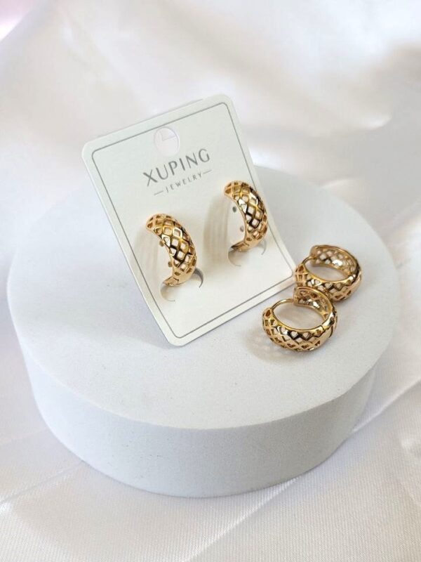 Dainty Delights XP Earrings
