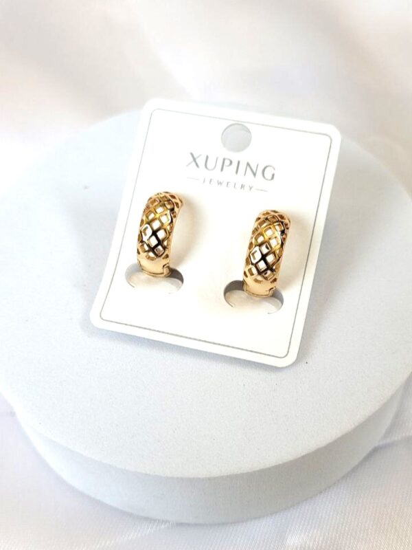 Dainty Delights XP Earrings