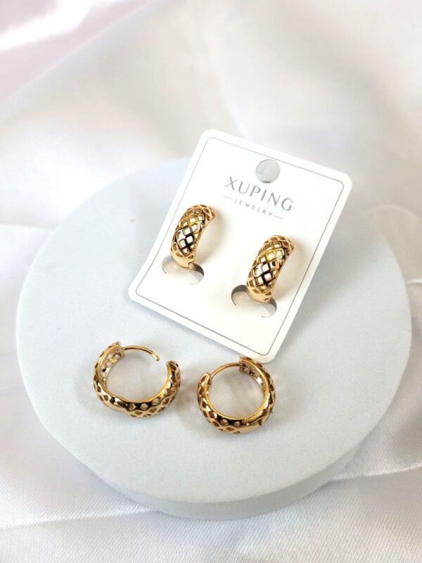 Dainty Delights XP Earrings