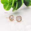 Vanki_Anti-Tarnish Earrings_5 Gleam Pin XP Studs