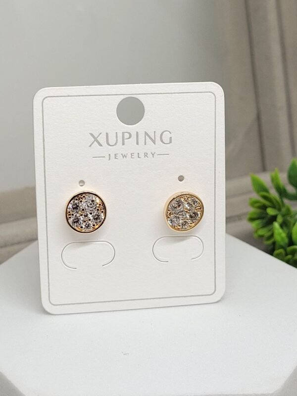 photo_2025-10-12_19-22-58 Shiny Moon XP Studs