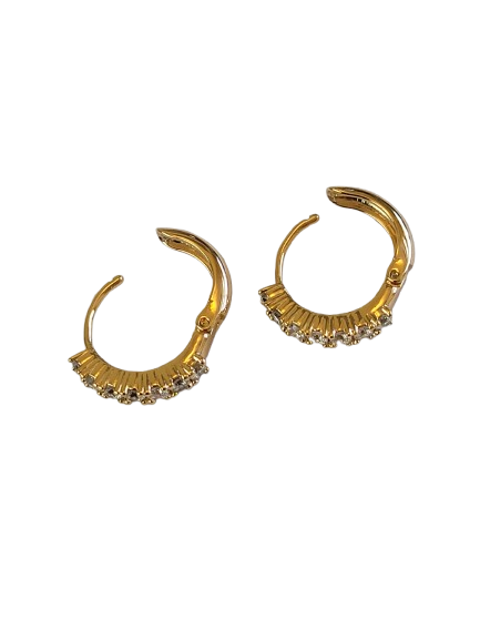 Joyful Jive XP Huggie Earrings