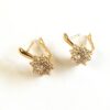 Sparkle Dusk XP Earrings