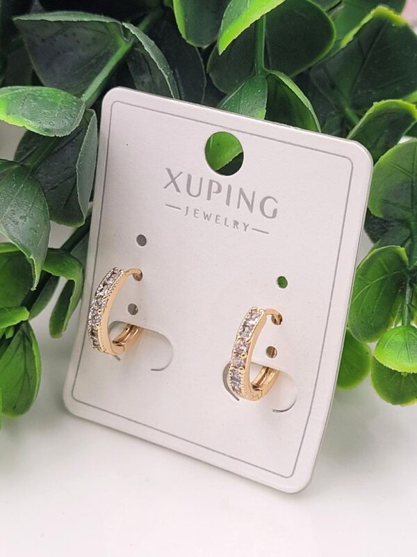 photo_2026-02-15_20-10-08 Whispering Moon Anti-Tarnish Huggie Earrings