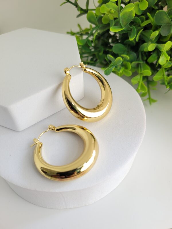 20250814_142947 Vanki Chunky Hoops