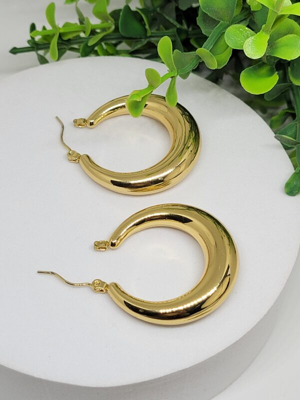 20250814_144309 Vanki Chunky Hoops