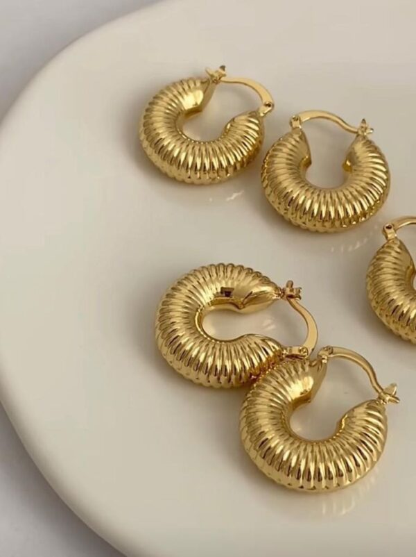 Vanki Chunky Hoops