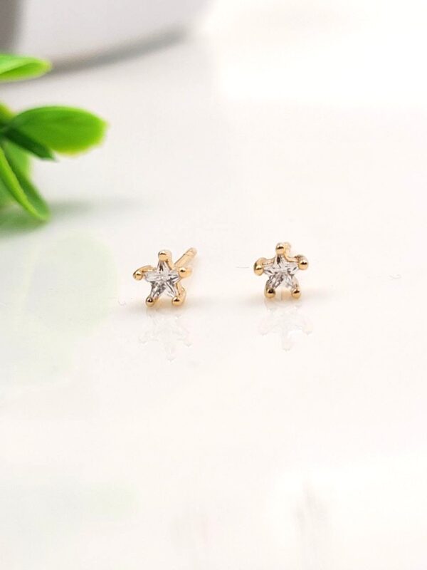 photo_2026-02-15_20-00-35 Sitara Shine Anti-Tarnish Earrings