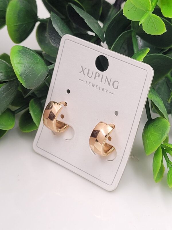 photo_2026-02-15_20-05-13 Elara Anti-Tarnish Huggies