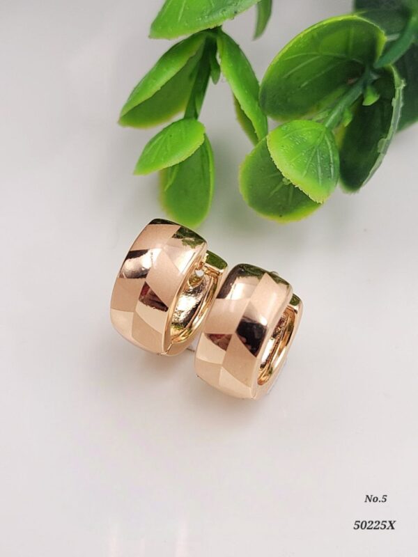 photo_2026-02-15_20-05-15 Elara Anti-Tarnish Huggies