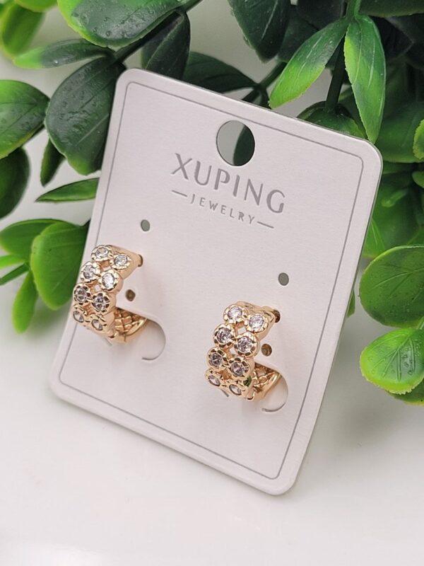 photo_2026-02-15_20-10-09 Pop Shine Anti-Tarnish Earrings