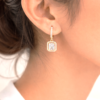 Infinite Shine Vanki Anti-Tarnish Drop Earrings