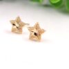 photo_2026-03-18_16-46-16 Vanki Glow Star Studs
