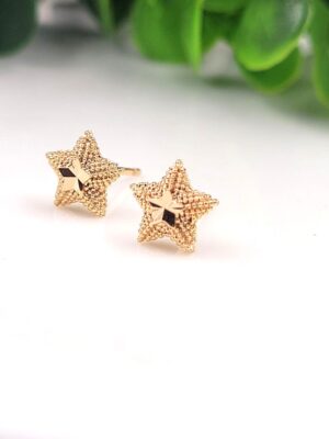 Vanki Glow Star Studs