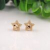 photo_2026-03-18_16-46-17 Vanki Glow Star Studs