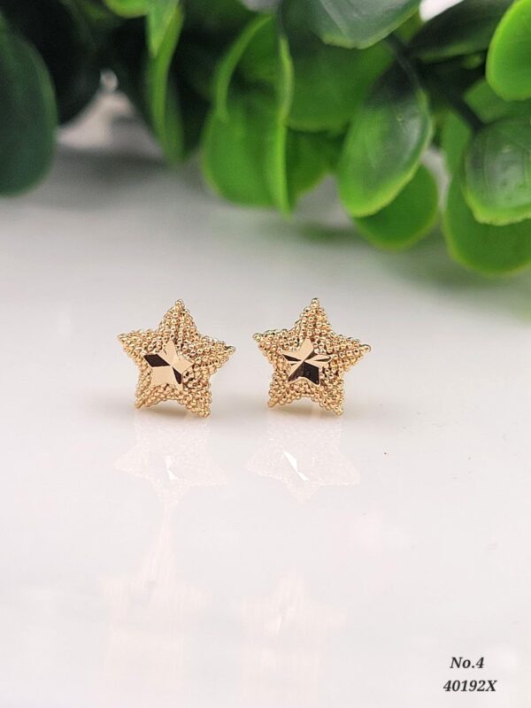 photo_2026-03-18_16-46-17 Vanki Glow Star Studs